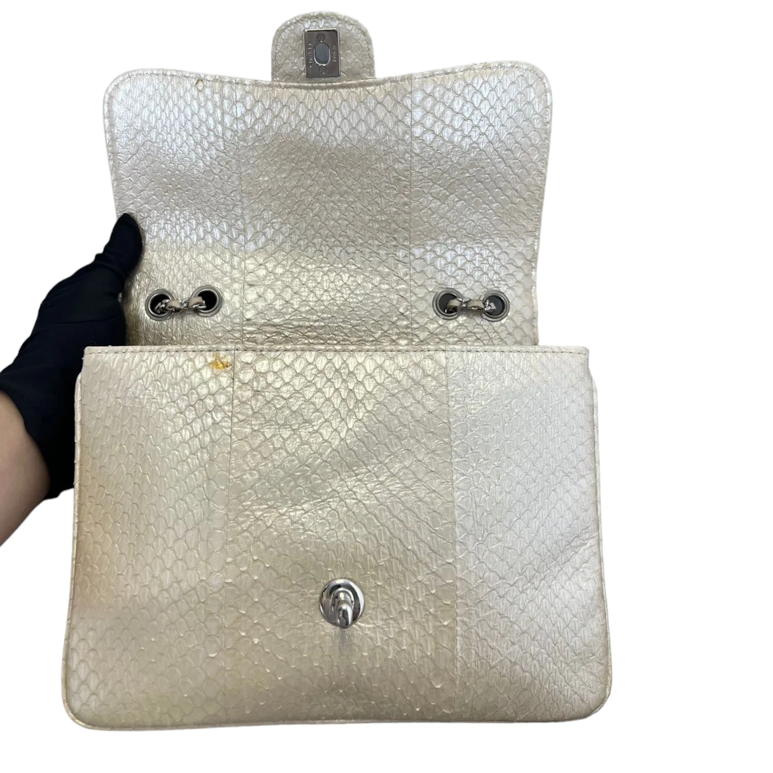 Python Quilted Chanel 3 Accordion Flap Bag Beige SHW - Image 11
