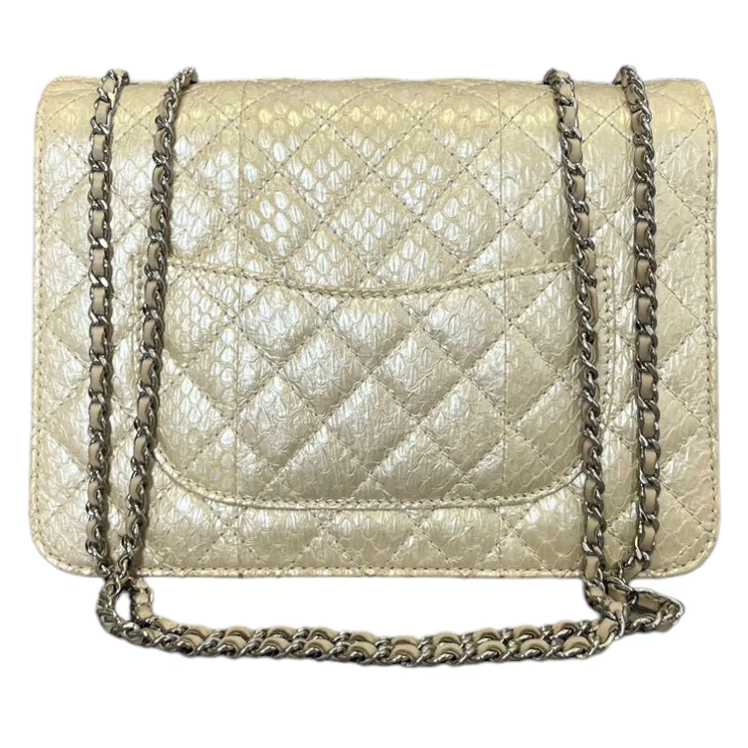 Python Quilted Chanel 3 Accordion Flap Bag Beige SHW - Image 2