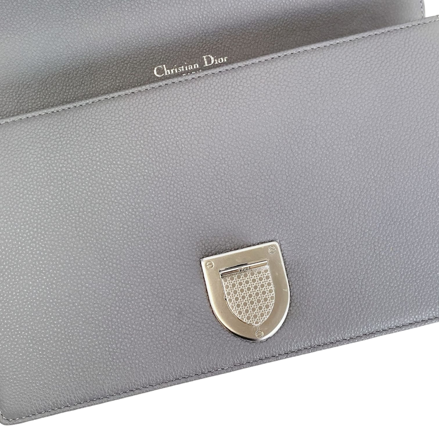 Medium Diorama Grained Calfskin SHW - Image 24