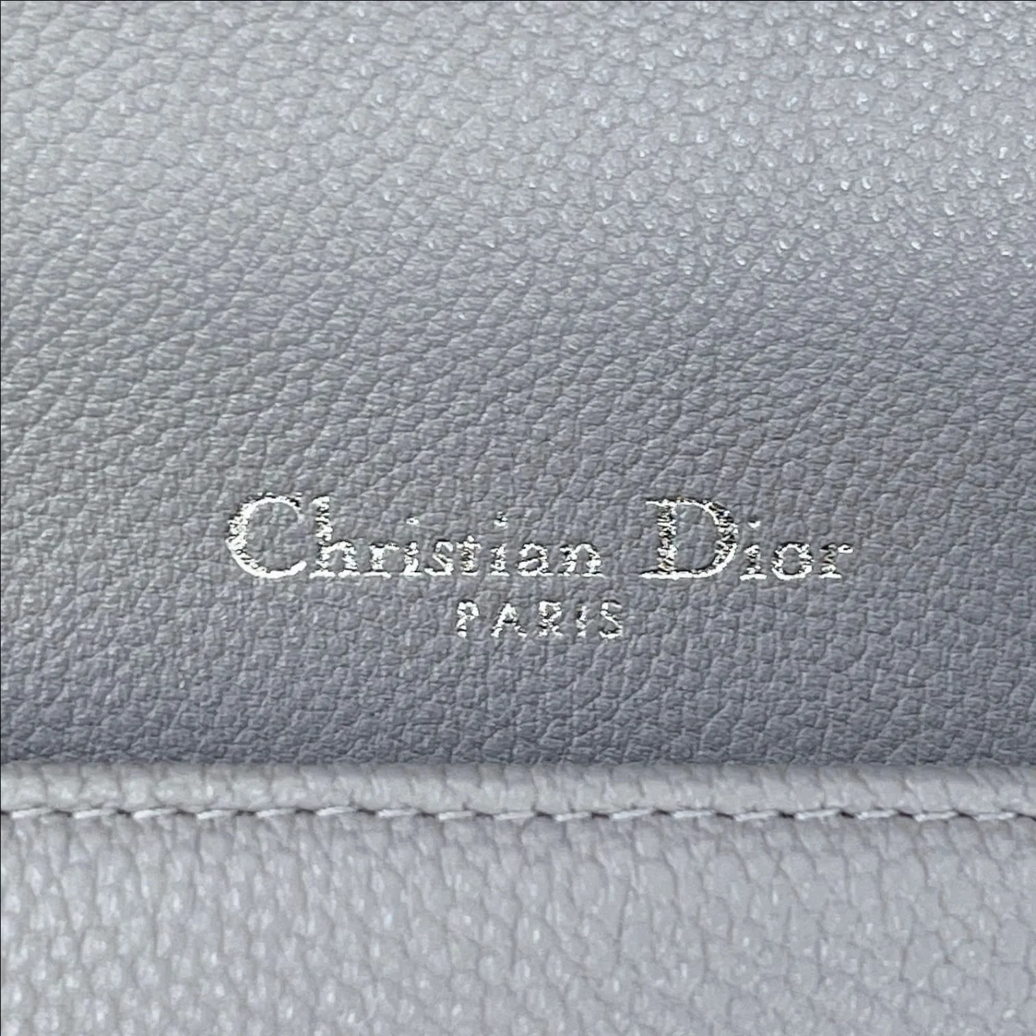 Medium Diorama Grained Calfskin SHW - Image 25