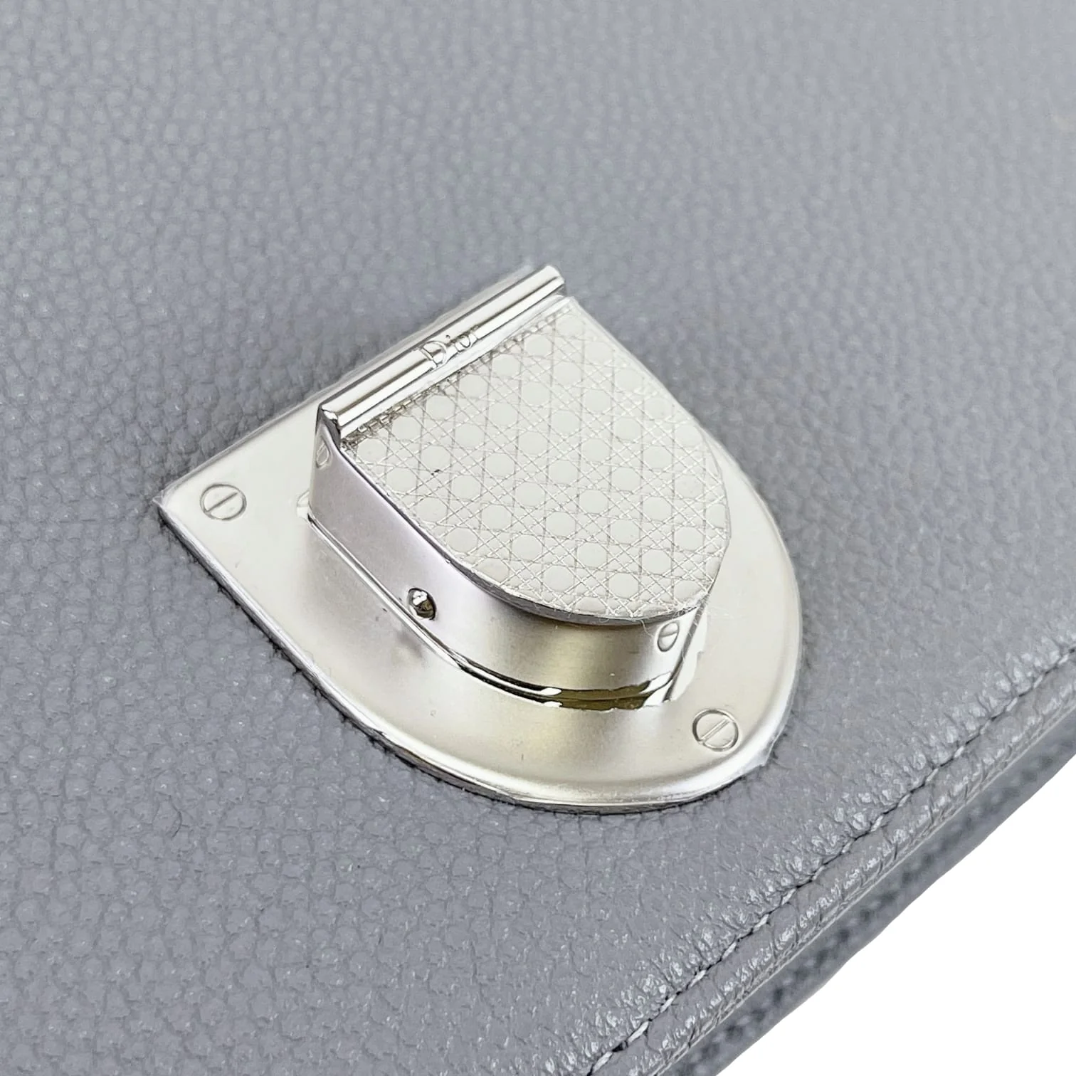 Medium Diorama Grained Calfskin SHW - Image 28