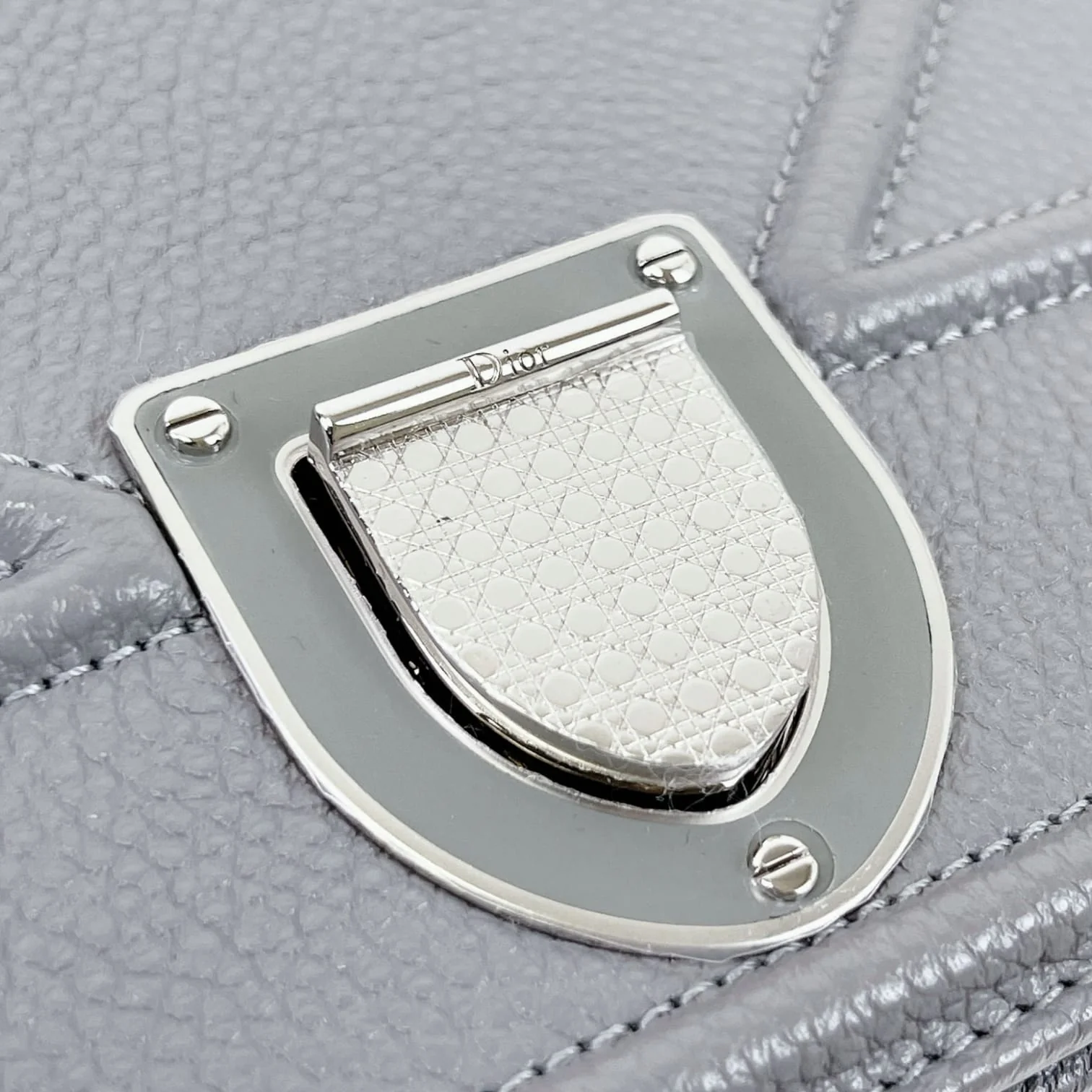Medium Diorama Grained Calfskin SHW - Image 29