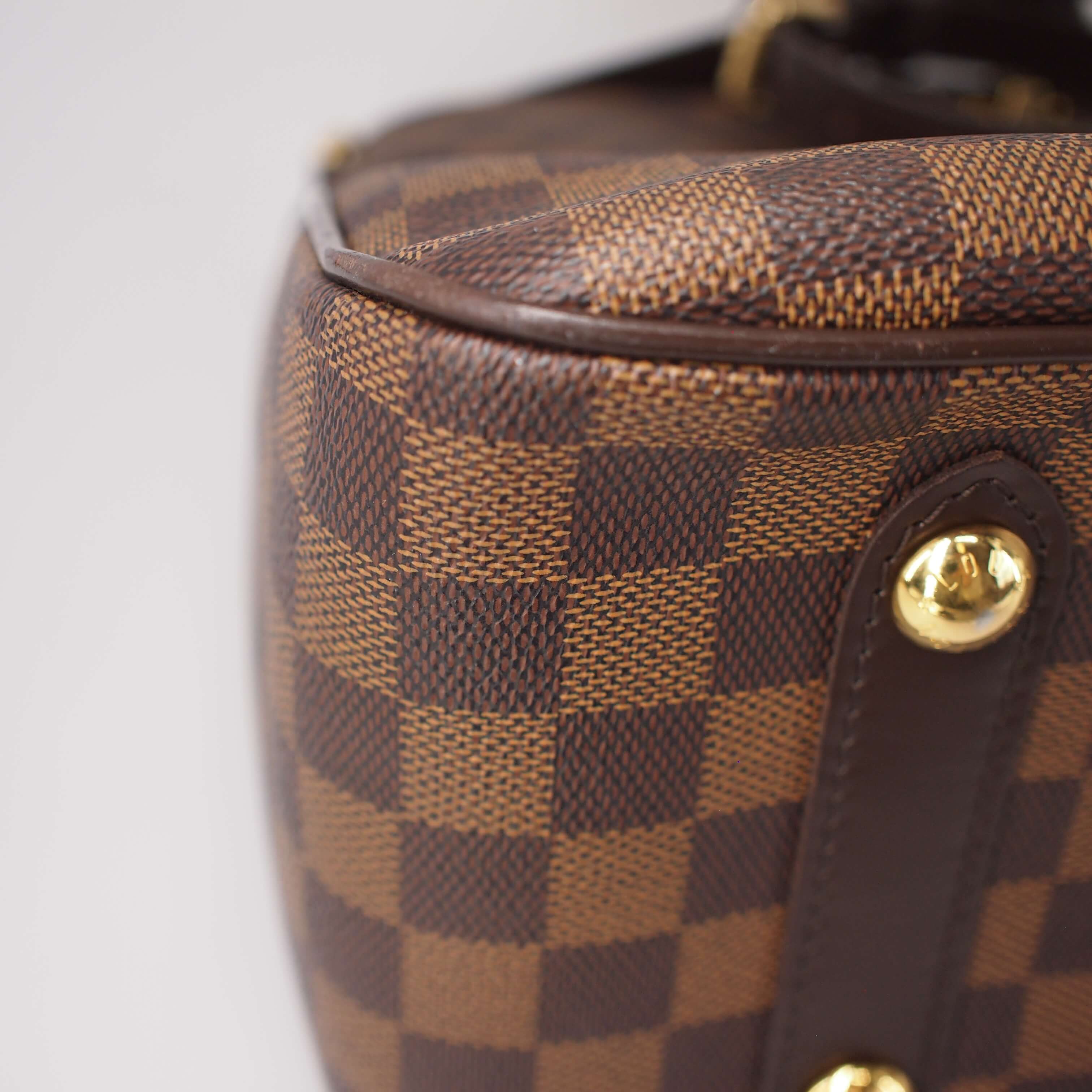 Canvas Cabas Rosebery Bag in Damier Ebene - Image 12
