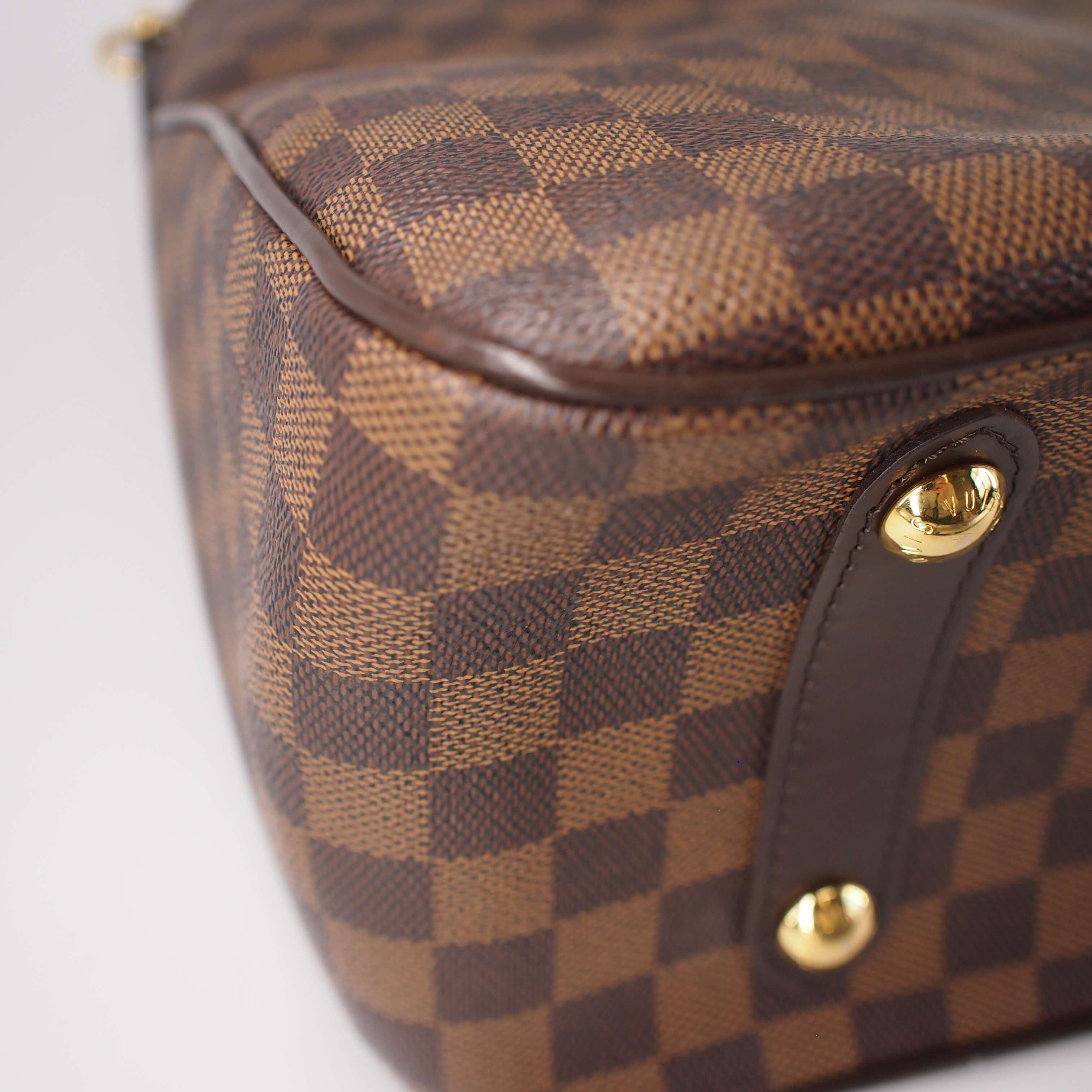 Canvas Cabas Rosebery Bag in Damier Ebene - Image 13