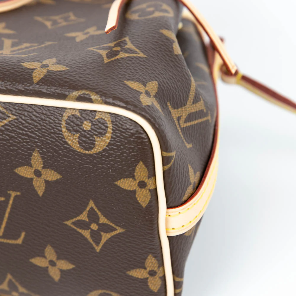 Nano Monogram Noe Bag - Image 15