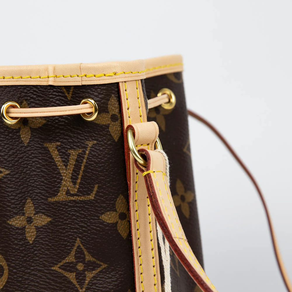 Nano Monogram Noe Bag - Image 19