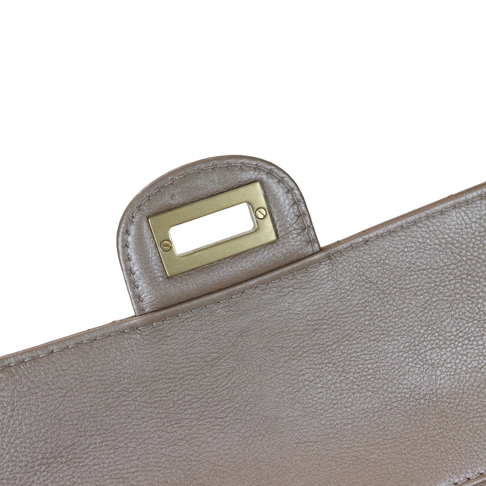 Reissue Medium 226 Iridescent Taupe-Beige GHW - Image 17
