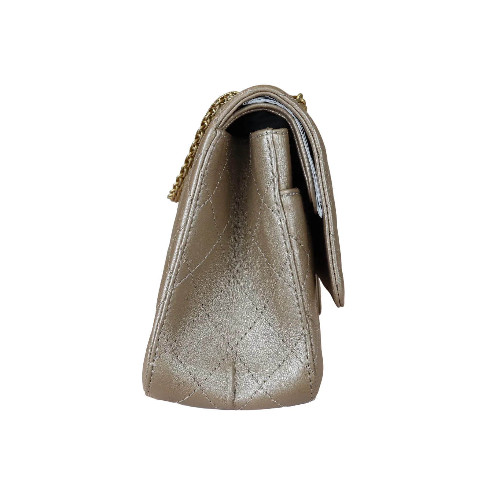Reissue Medium 226 Iridescent Taupe-Beige GHW - Image 4