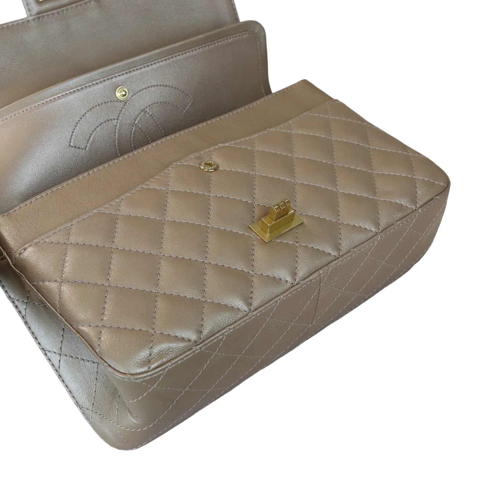 Reissue Medium 226 Iridescent Taupe-Beige GHW - Image 7